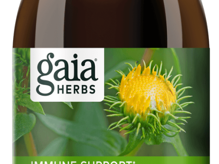 Gaia Bronchial Wellness Syrup 5.4oz Online Sale