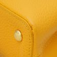 Louis Vuitton Yellow Capucines Mini Bag Supply