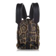 Brown Louis Vuitton Wild Animal Palm Springs PM Backpack Sale