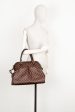 LOUIS VUITTON 2010 Trevi Handbag Damier Ebene Canvas For Cheap