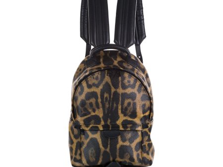 Brown Louis Vuitton Wild Animal Palm Springs PM Backpack Sale