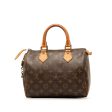 Brown Louis Vuitton Monogram Speedy 25 Boston Bag For Sale