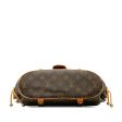 Brown Louis Vuitton Monogram Theda PM Handbag For Discount