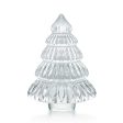 Enchanting Fir Tree, Medium Clear Online