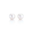 7mm White Akoya Pearl Earrings Cheap